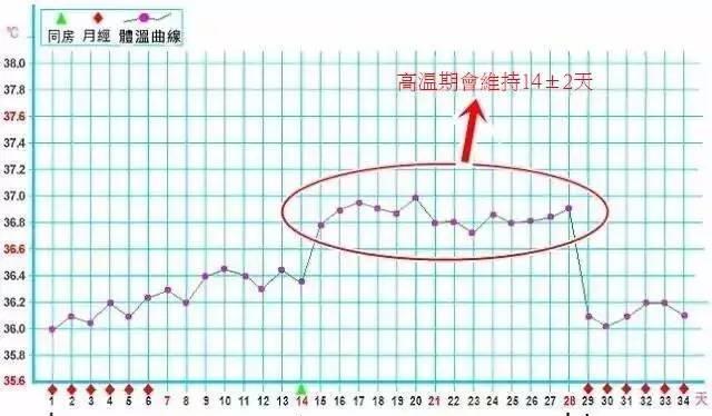 幼犬体温的正常范围及正确量取方法（了解幼犬体温的重要性，保证它们的健康与安全）
