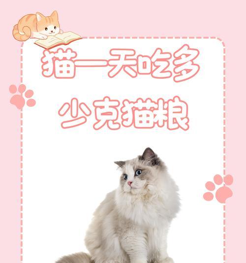 15磅猫粮能维持多久？（探究一袋15磅猫粮的耐用性及适用时长）