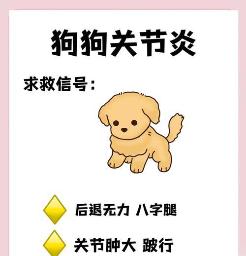 狗关节常见问题与解决方法（探讨狗狗关节问题的种类及其预防与治疗）