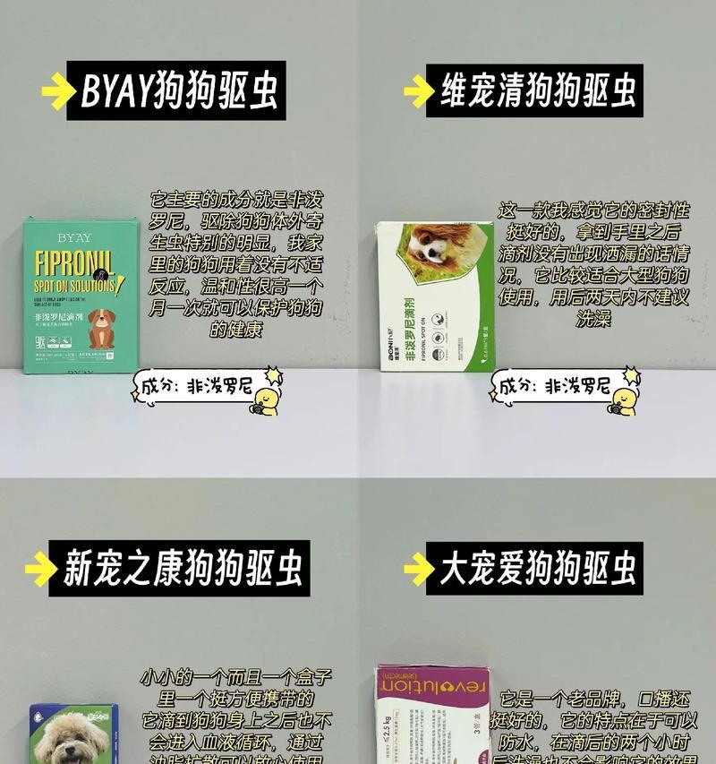 小狗驱虫的重要性及最佳驱虫频率（保护小狗健康的关键措施与建议）