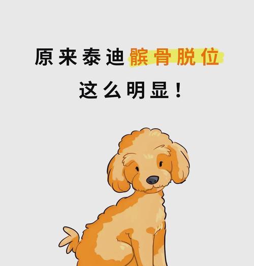 狗狗运动完需要多久休息才合适？（科学指导下，了解狗狗运动和休息的最佳时机）