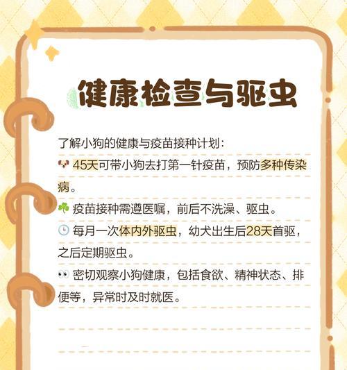 新生小狗的喂养时间表（掌握每次喂养小狗的关键）