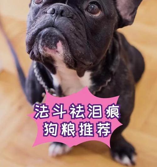 宠物法斗的饮食禁忌（小心！这些食物千万别给法斗吃）