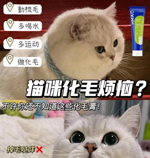 吃了化毛膏多久会吐？（化毛膏食用后的反应及影响）