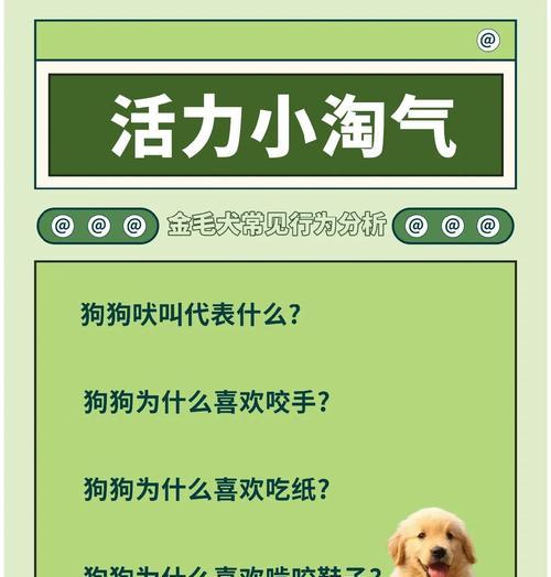 金毛犬掉毛周期及如何控制（金毛犬掉毛周期、掉毛原因和有效控制方法）