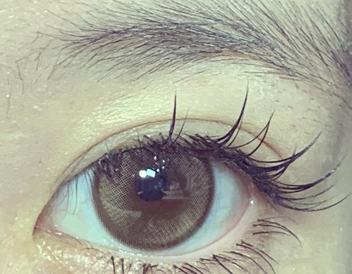 揭秘狗的眼睛能分辨的主要颜色（探索狗眼中世界的彩色秘密）
