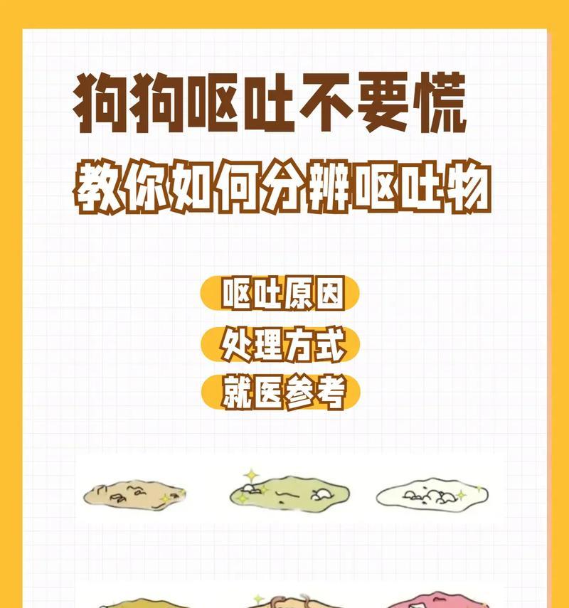 狗怀孕呕吐多久会好？（解析狗狗怀孕期间呕吐的原因和持续时间）
