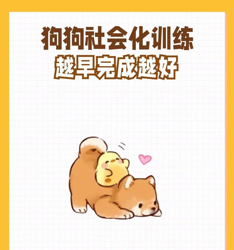 狗狗社会化活动（以狗狗有哪些社会化的活动为主题的全面指南）