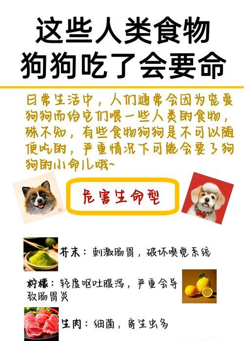 动物绝育术前禁食时间的重要性（细数动物绝育手术前禁食多久的关键因素）