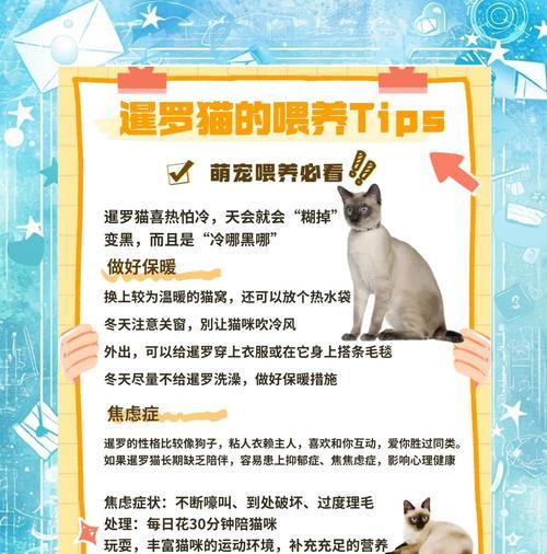 暹罗幼猫的断奶时间及方法（科学养育，健康成长）