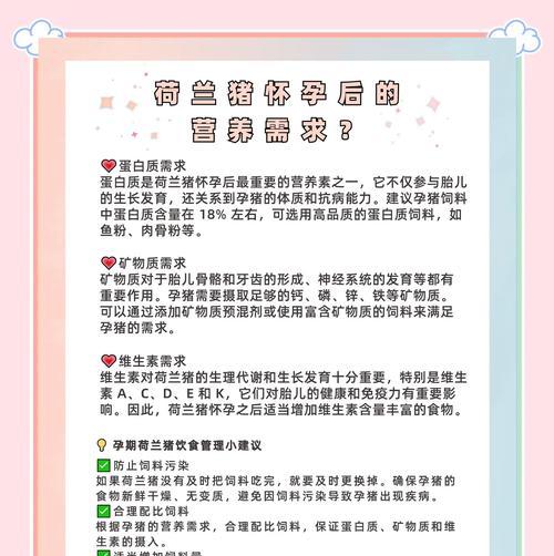 《孕期荷兰猪的照顾心得》（了解孕期需求，关爱健康成长）