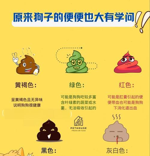 幼犬进食后的排便时间（探究幼犬饮食与排便的时间关系）