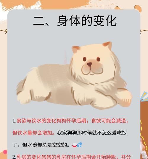 狗的胎盘形成周期与重要性（探究狗生过小狗后胎盘的形成周期及其重要性）