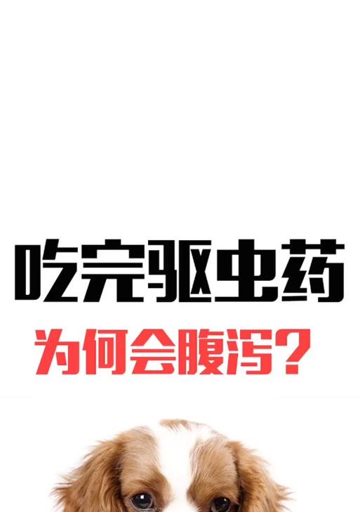 狗狗洗完澡后多久能吃打虫药？（了解正确的时间间隔，确保狗狗的健康）
