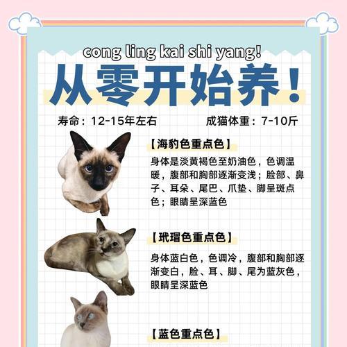 暹罗猫孕期及分娩过程详解（了解暹罗猫的孕期特点和生产情况，关心您的毛绒宝宝）