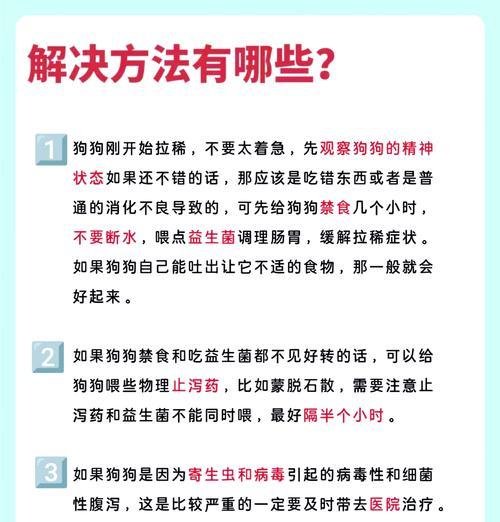 小狗拉肚子后多久能吃饭？（了解小狗拉肚子后的饮食恢复时间及注意事项）