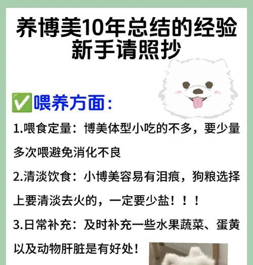 博美犬每天适合遛多久？（根据年龄、健康状况和活动水平来确定合适的时间。）