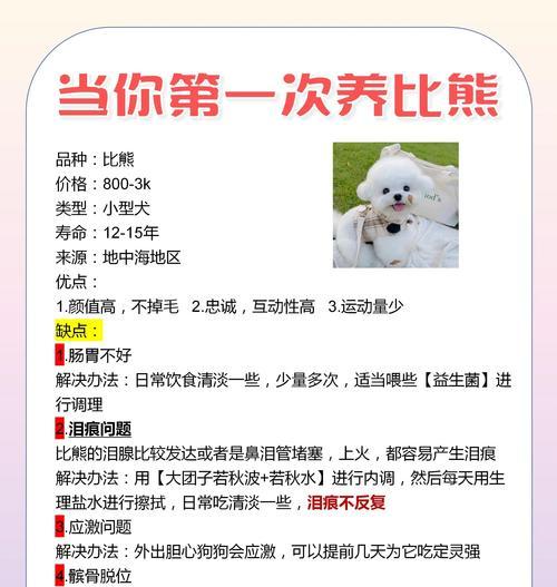 比熊犬怀孕后多久能生——了解母犬妊娠周期和分娩时间（比熊犬的怀孕周期及适时准备，帮助母犬顺利分娩）
