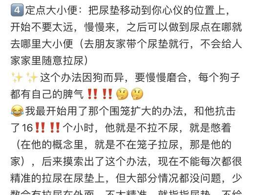 培养狗狗定点上厕所的技巧（让你的狗狗远离随地大小便的困扰）