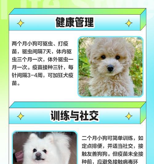 小狗两个月每天睡多久的重要性（培养健康宠物，科学护理初生狗狗睡眠）
