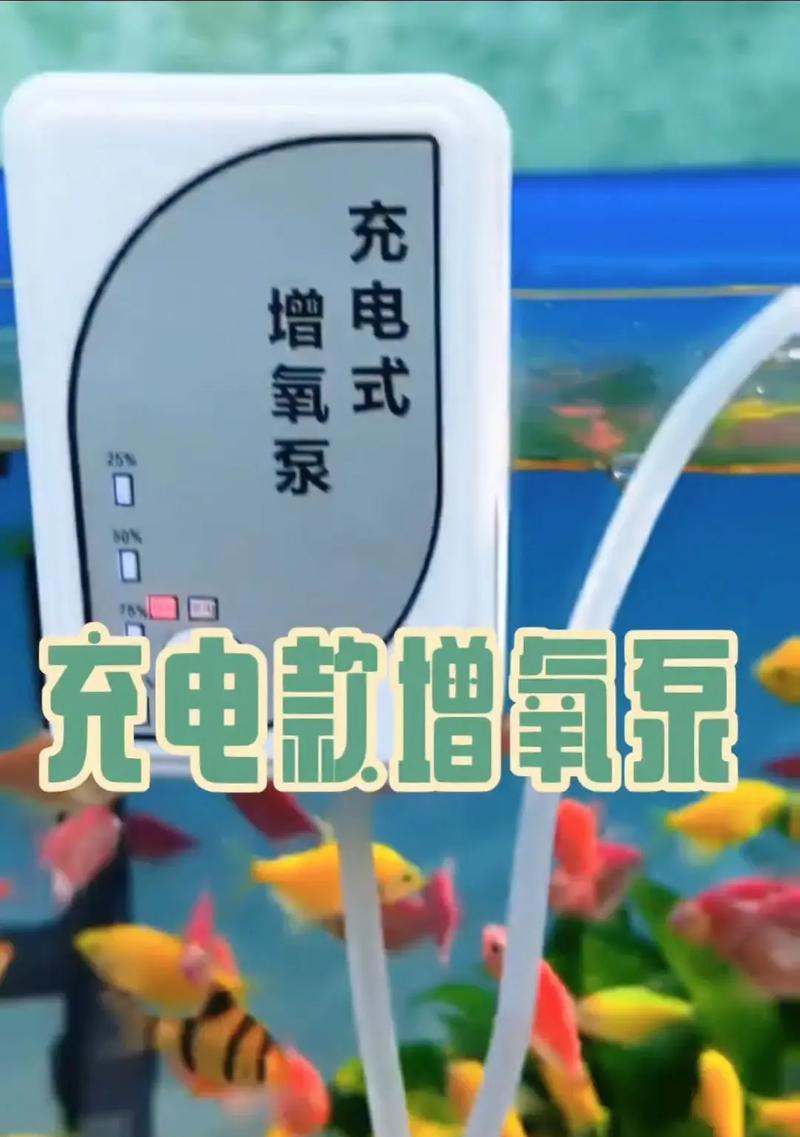 小鱼缸养鱼的难题及应对之策（养鱼需注意的问题和氧气泵的作用）