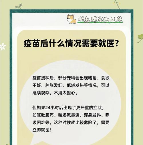 宠物疫苗（了解什么时候为您的宠物接种疫苗是重要的一步）