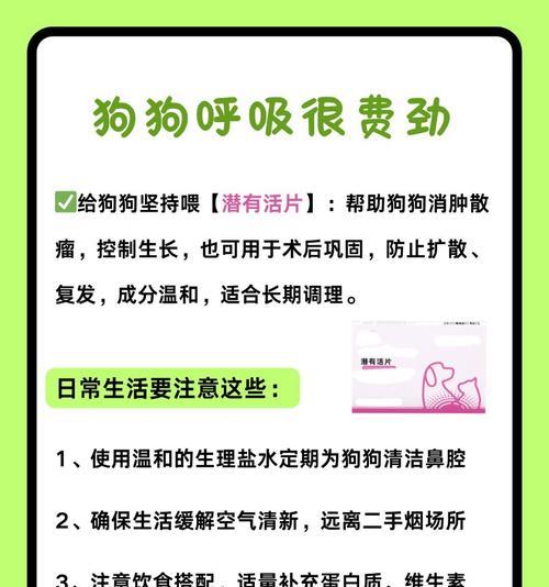中成药治疗狗生病的良方（了解狗生病可以吃哪些中成药，保护我们的忠实伙伴）