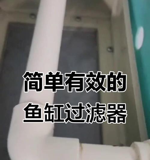长期开启鱼缸过滤器的安全隐患与防范措施（了解长期开启鱼缸过滤器的潜在危险，让你的鱼缸更加安全可靠）