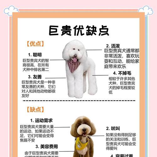 贵宾犬（了解贵宾犬四种类型的价格及其）