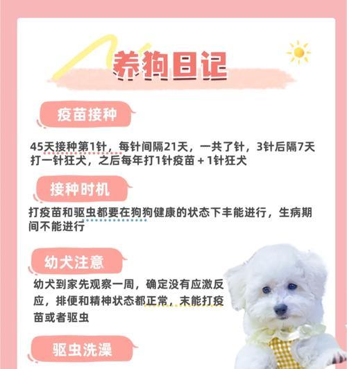 狗狗打疫苗后多久可以进行体外驱虫？（了解正确的时间间隔是保护你的爱宠的关键）
