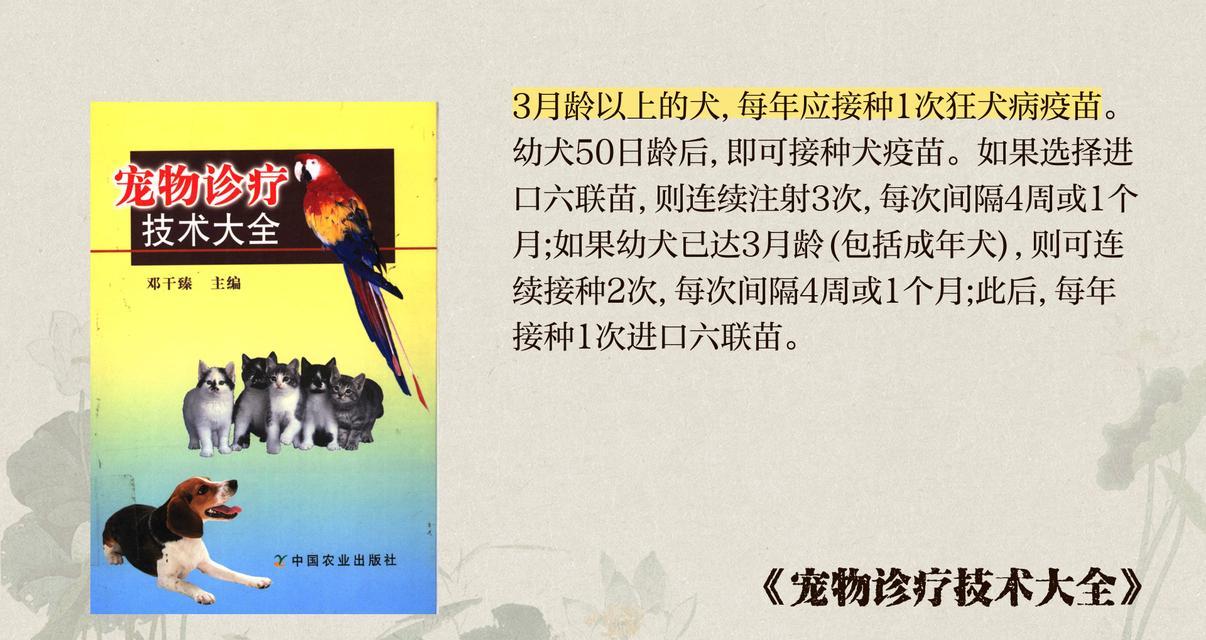 狗狗打疫苗的时间表（了解疫苗接种时机，守护宠物健康）