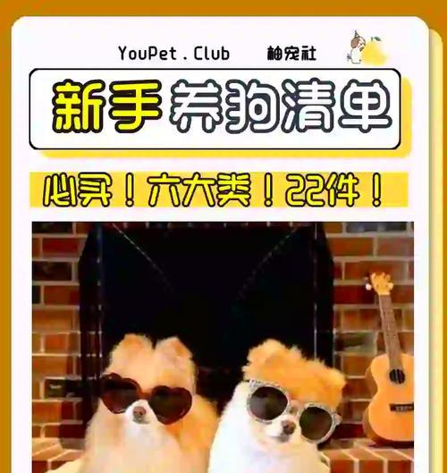 养狗必备用品，让你的狗狗生活更舒适愉快！（养狗必备用品，为宠物狗的健康成长提供全方位保障！）