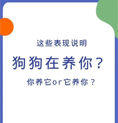摸狗狗肚子的含义及注意事项（狗狗露肚子并不代表一定让你摸！）