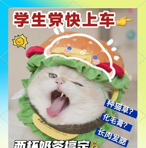 猫咪吃化毛膏的好处（了解为什么猫咪需要吃化毛膏以及如何选择合适的产品）