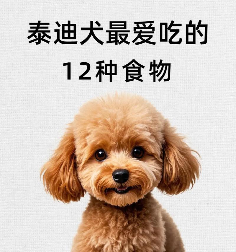 泰迪犬不能吃的食物有哪些？（了解泰迪犬的禁食列表，保护它的健康。）