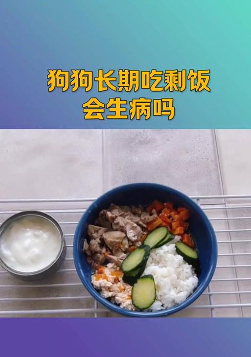 狗狗吃白米饭的好处与坏处（科学喂养下，白米饭可成为狗狗的健康之选）