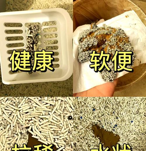 探讨猫咪软便的原因及处理方法（解决猫咪软便的困扰，让它们健康快乐）