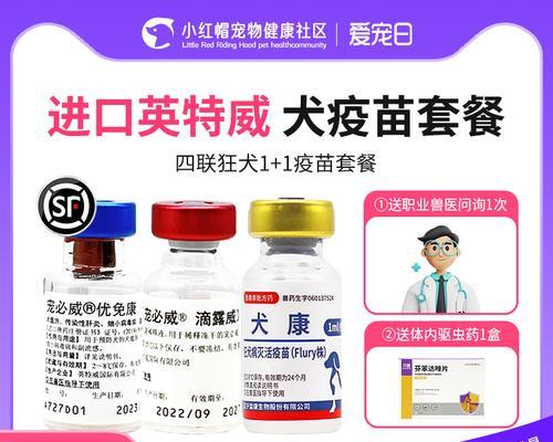 成年犬疫苗有效期有多长？（探讨成年犬疫苗保护期限及关键因素）
