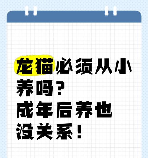 龙猫寿命及养护要点（探究龙猫的寿命长短及如何延长其寿命）