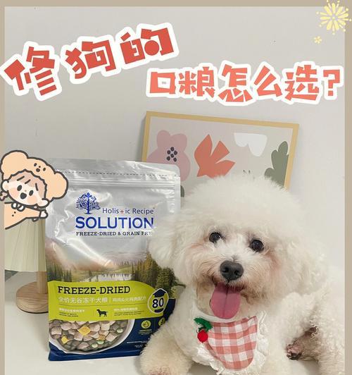 宠物上学比孩子还贵？宠物训导师（揭秘宠物训导师收费内幕，是智商税还是服务费？）