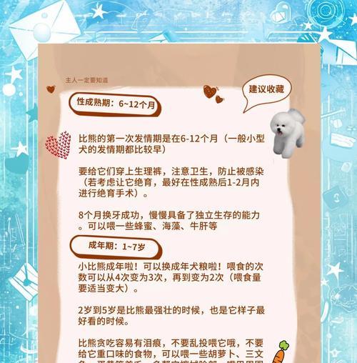 比熊犬4岁多久驱虫？（寻找最佳驱虫时间，保护爱宠健康）