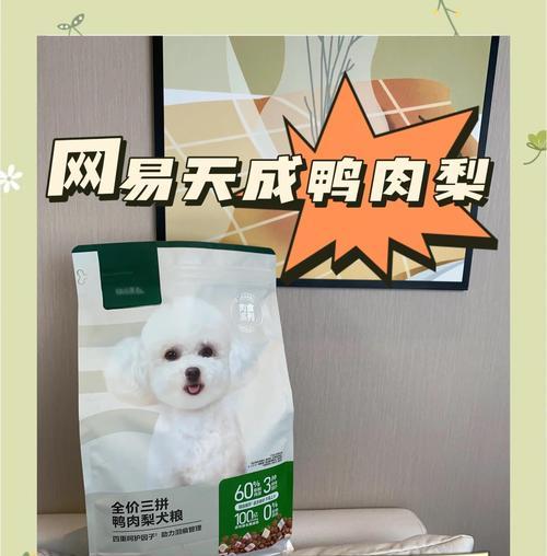 宠物泰迪的饮食习惯与喂养频率（解密泰迪宝宝的饮食秘诀，让你成为专业的狗爸狗妈）