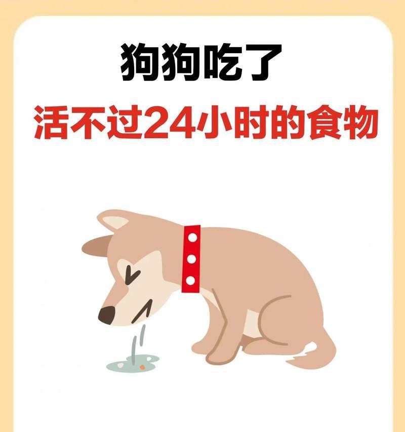 狗狗饮食频率（狗狗饮食习惯的调整与注意事项）
