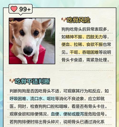 狗狗吃了鸡骨头后出现反应的时间（了解狗狗食用鸡骨头后的表现以及处理方法）