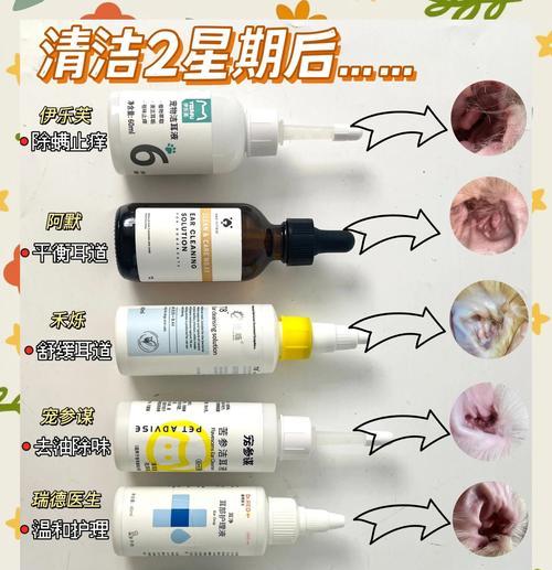 初次使用洁耳液，是否需要擦干净？（如何正确清洁猫咪耳朵，让它们的耳朵健康呢？）