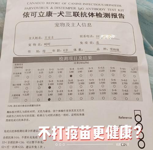 小狗做完驱虫需要多久才能打疫苗？（驱虫与疫苗的顺序安排以及时间间隔）