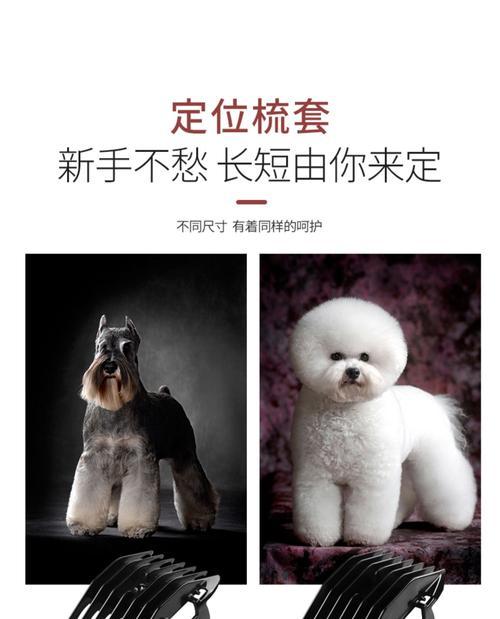 小狗的毛发生长周期及影响因素（探究小狗毛发生长的时间和关键因素）