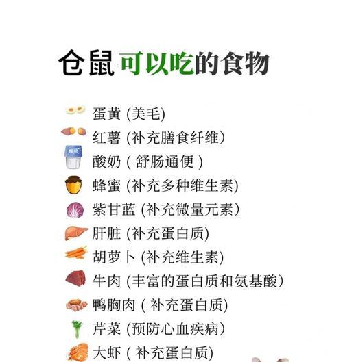 仓鼠的健康饮食（为宠物仓鼠提供全面营养的关键）