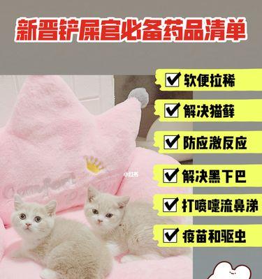 如何给猫下药？（了解猫药物使用的方法和注意事项）