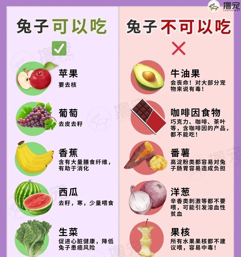 兔子消化食物的时间有多长？（了解兔子消化系统及其影响因素）